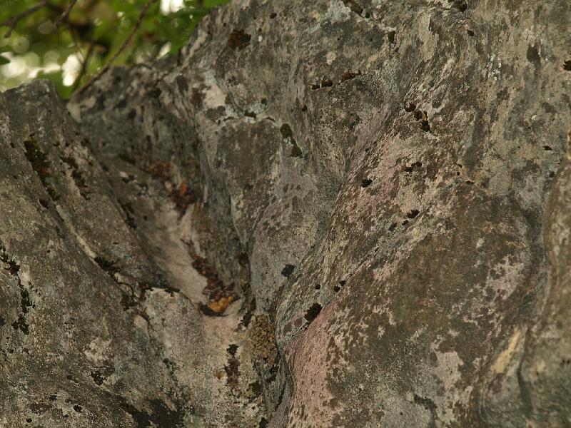 Copy of P9114377.JPG